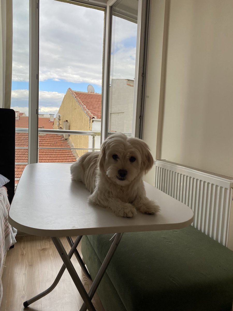 Davuk olduğum için tünedim