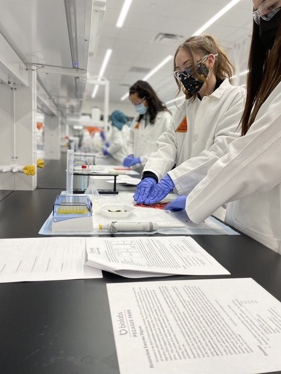BioLabsNTX's tweet photo. BioLabs Pegasus Park hosted “A Day in the Life of a Scientist” for the students of the STARS program from @UTSWNews. Happy to see students learning in the lab! https://t.co/1DWtcGQOHG