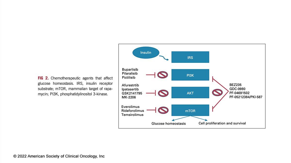 JCOPO_ASCO's tweet photo. .@MariaStamou8 et al. report on a case of AKT inhibitor-induced hyperglycemia highlighting the role of the AKT-pathway on glucose homeostasis. #bcsm https://t.co/Jf8xi0aM9o https://t.co/M5rZLpwMrX