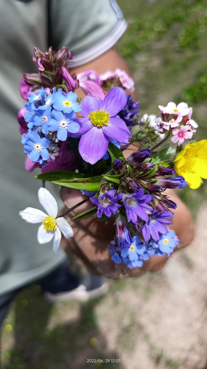 Flowers from our Forests.