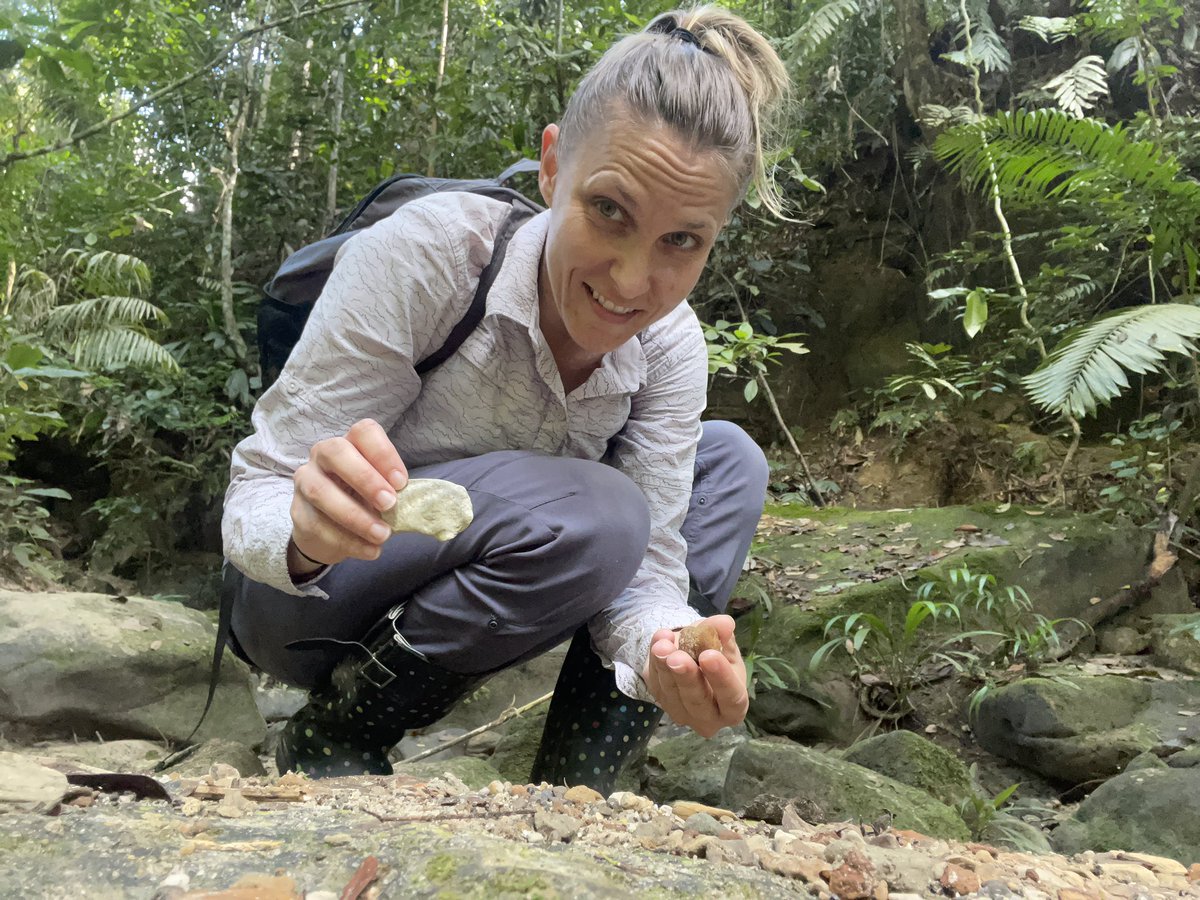 schnekser's tweet photo. A little jungle paleontology, anyone? #BoilingRiver #paleontology #fossils #ExpeditionScience #expeditionschnekser https://t.co/plfXkmNMC3