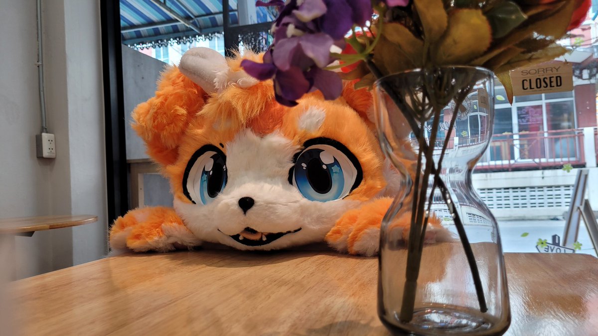 tama_nthegang's tweet photo. Hi hooman~* Would you like to play with me 🐶🦌✨?
#CafeAholic
#FursuitEveryday
#YuzuAki
✂️🧵: @Sushiba_Shi
📷✨: @BothFelixfox https://t.co/mhhPGsPhLW