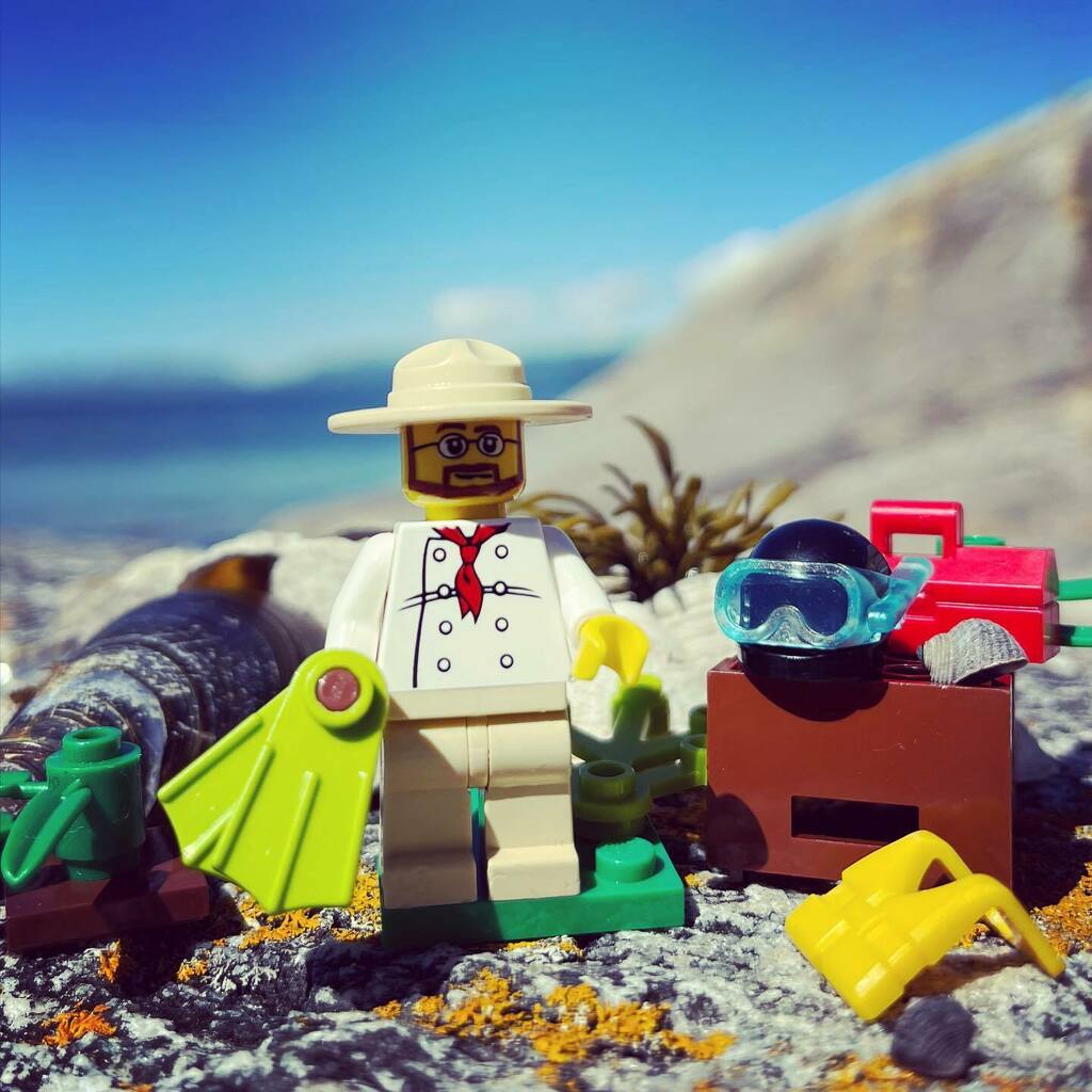 Opplevelseskurs's tweet photo. Klar for å gå helt under…💧🤿 #legophotography #legominifigures #legoleaks #lego @lego @lego_minifigures_and_co @thenerdatheart @legolegatus @minifigures.world #diving @pluravalley https://t.co/lR1CeT1ncM https://t.co/QKSvteyi0c