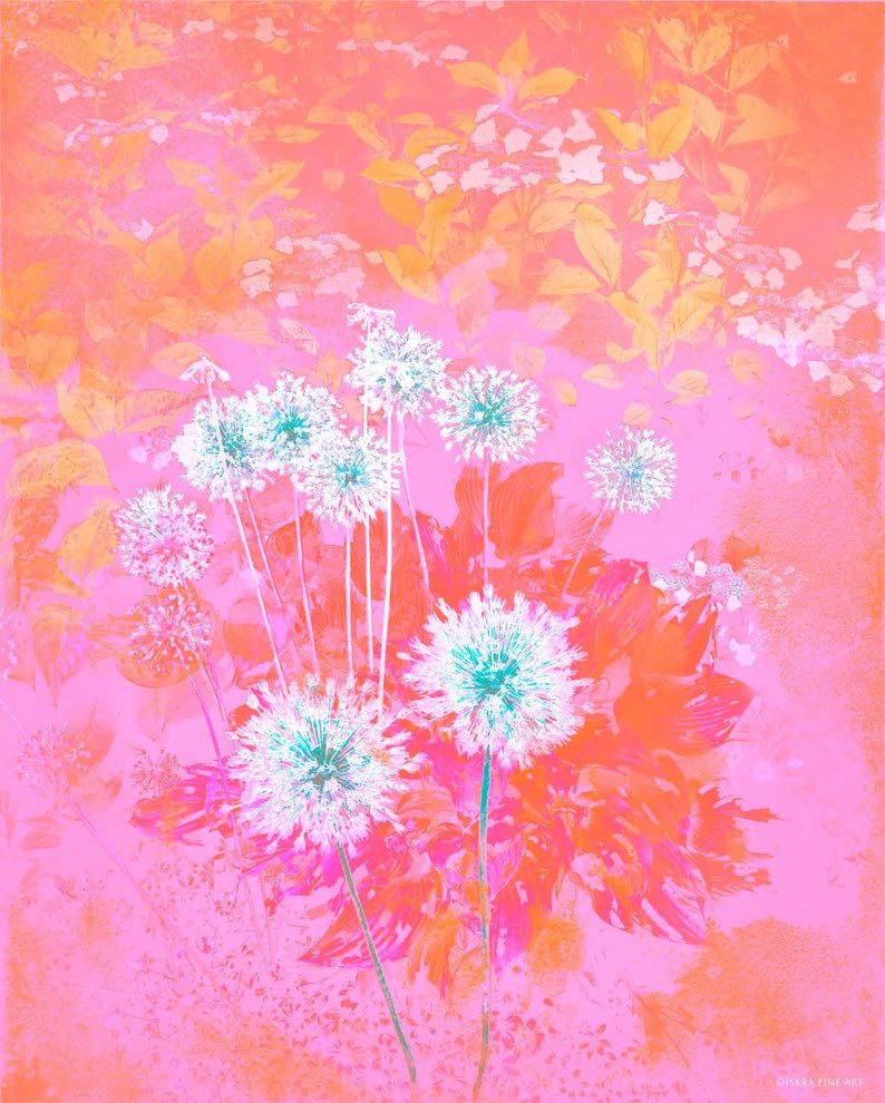 The Alliums are here. Heat of summer, new botanical firecrackers for #IndependenceDay Inspired by the alliums in my garden, vintage dish towels, #popart of the ‘50’s an ‘60’s. See etsy.me/3y0kEWY for more information. #artgallery #floralart #botanicalprints