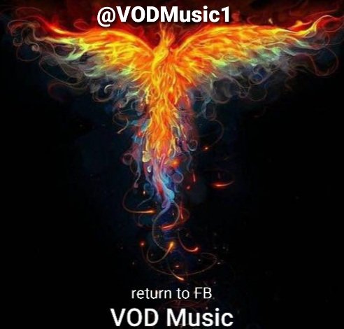 VODMusic1's tweet photo. After a few FB techy issues returning to FB from scratch, hoping people will find us again over time. @RSDUK #independentrecordshop #mold #flintshire #northwales #wales #smallestindependentrecordshop #vinyl #cds #vinylaccessories #letsstartover https://t.co/cMxAqTbRzn