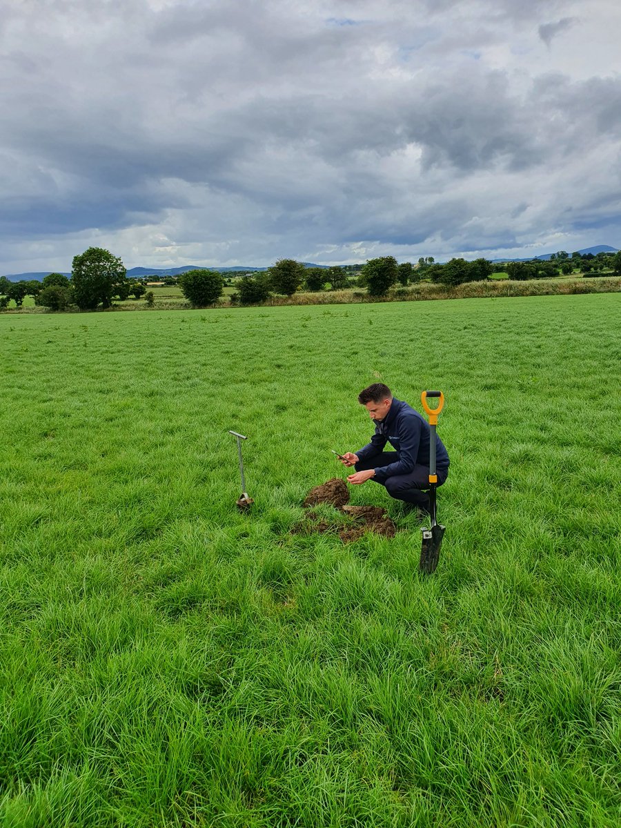 DouglasBailey_'s tweet photo. @eddiehealy91 doing a GrassVESS and Solvita test for customer in South Kilkenny.
@Grasslandagro @AgronomistClare 
#SoilHealth https://t.co/jekBAdIq39