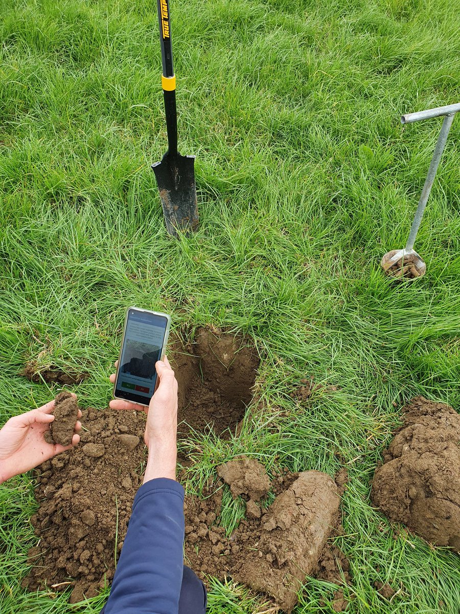 DouglasBailey_'s tweet photo. @eddiehealy91 doing a GrassVESS and Solvita test for customer in South Kilkenny.
@Grasslandagro @AgronomistClare 
#SoilHealth https://t.co/jekBAdIq39