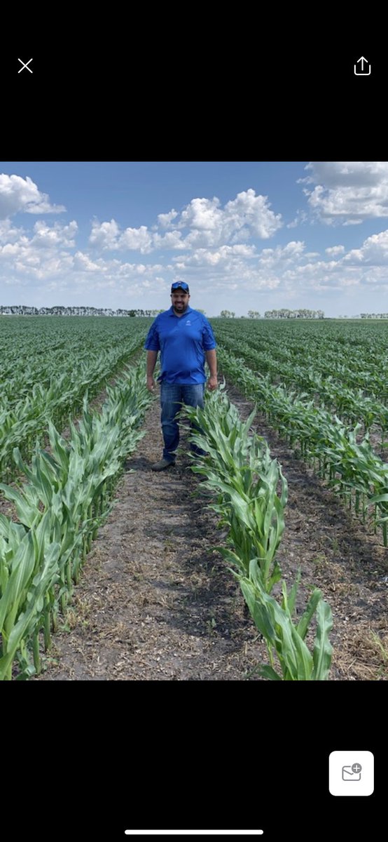 schab89's tweet photo. MS 8022 off to a strong start south of Winkler! #MS8022 #cowchow @MaizexWest https://t.co/gZyLaIPtxH