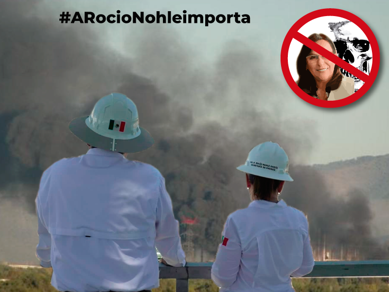 InahalaRocion's tweet photo. @rocionahle Super Feliz y Tula ? #ARocioNohleimporta https://t.co/WqjMGpzAjg