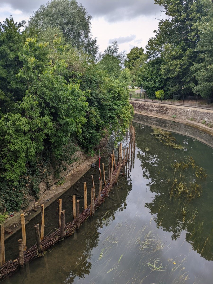 🌿💦In-channel project works have officially started at Wyndham Park today!!🌿💦
Interested in getting involved? Contact: <a href="/LionsEnv/">Lions Environmental Limited</a> <a href="/southkesteven/">South Kesteven District Council SKDC</a> <a href="/NorthKestevenDC/">North Kesteven District Council</a> 
  📧 enquiries.lions@gmail.com 
 📞 Laura 07539 636945
#bluegreencorridor #biodiversity #rivers #riverrestoration