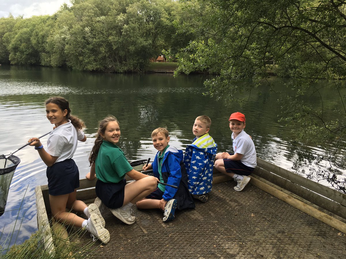 YMS_Year3's tweet photo. @YMS_Year3 Wellington Pond Dipping https://t.co/Z4XlH4GEYs