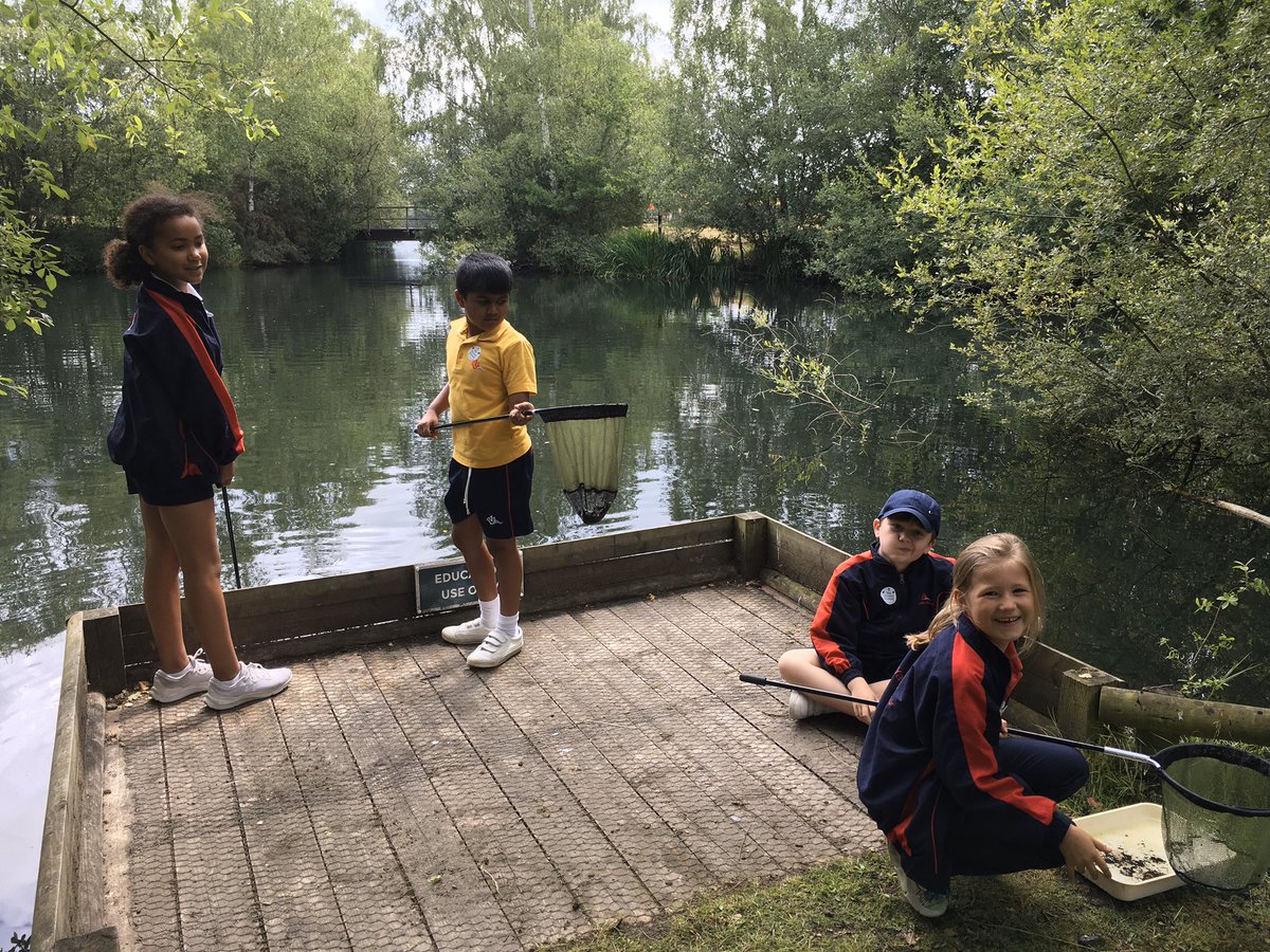 YMS_Year3's tweet photo. @YMS_Year3 Wellington Pond Dipping https://t.co/Z4XlH4GEYs