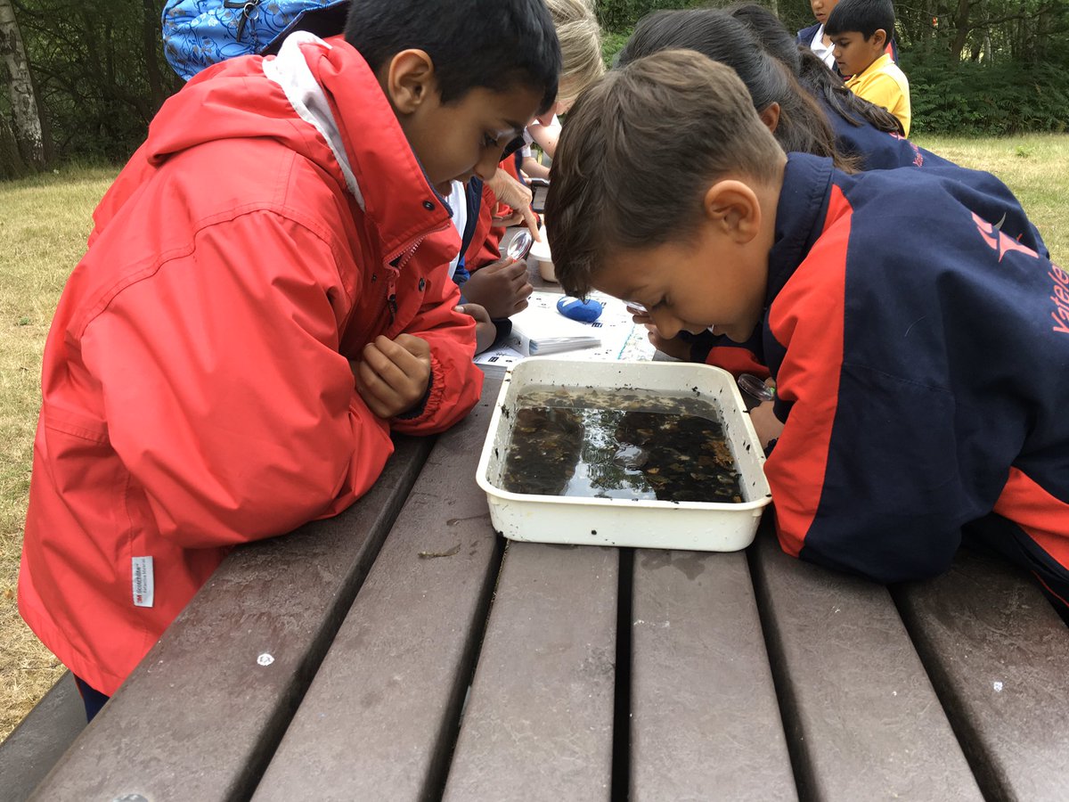 YMS_Year3's tweet photo. @YMS_Year3 Wellington Pond Dipping https://t.co/2MRaSogLh7