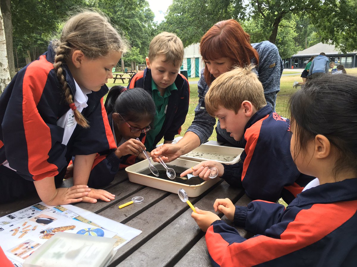 YMS_Year3's tweet photo. @YMS_Year3 Wellington Pond Dipping https://t.co/2MRaSogLh7