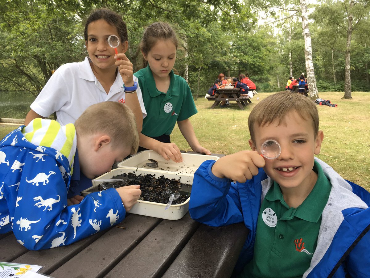 YMS_Year3's tweet photo. @YMS_Year3 Wellington Pond Dipping https://t.co/OaGGSUSplL