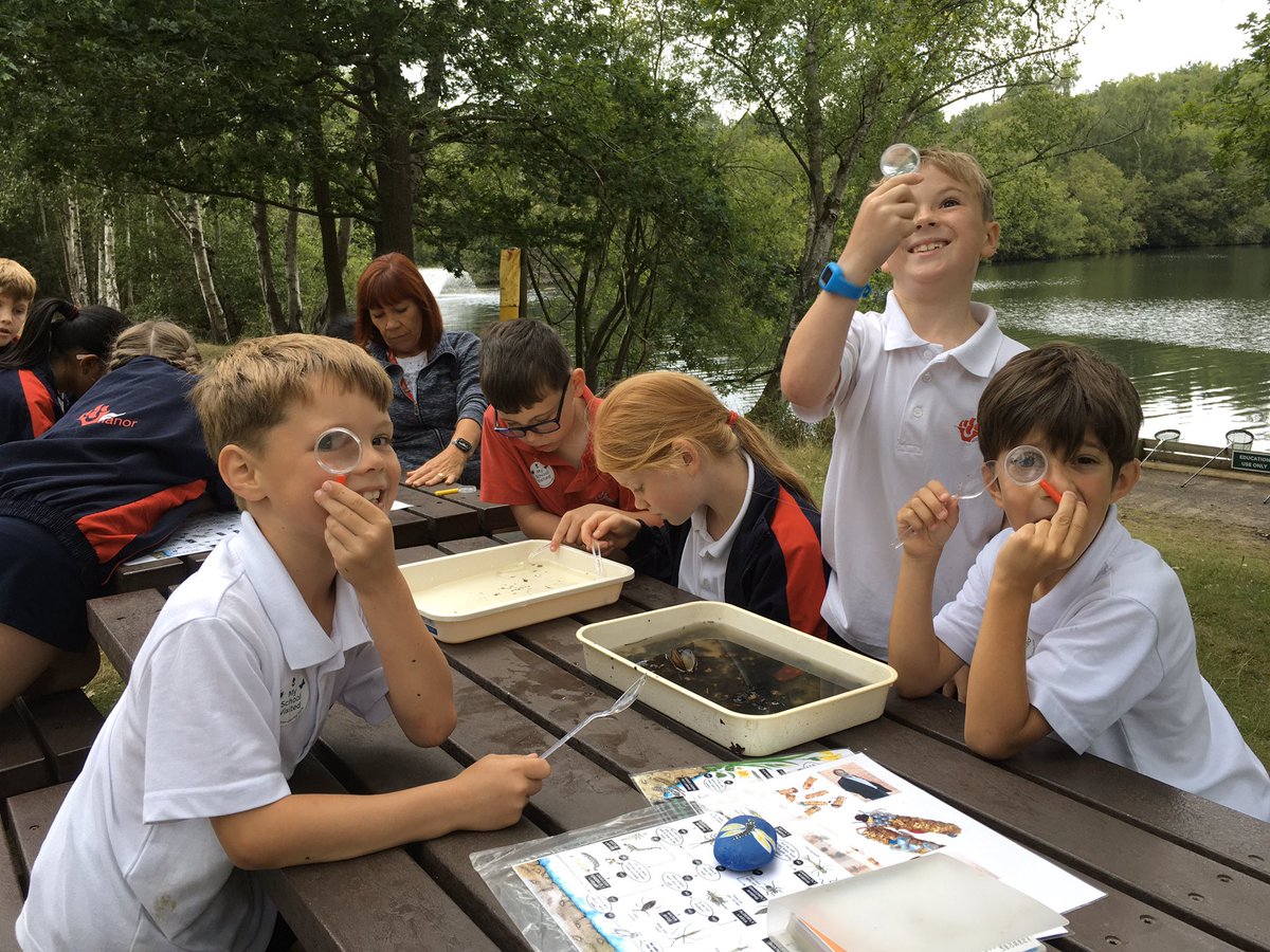 YMS_Year3's tweet photo. @YMS_Year3 Wellington Pond Dipping https://t.co/OaGGSUSplL