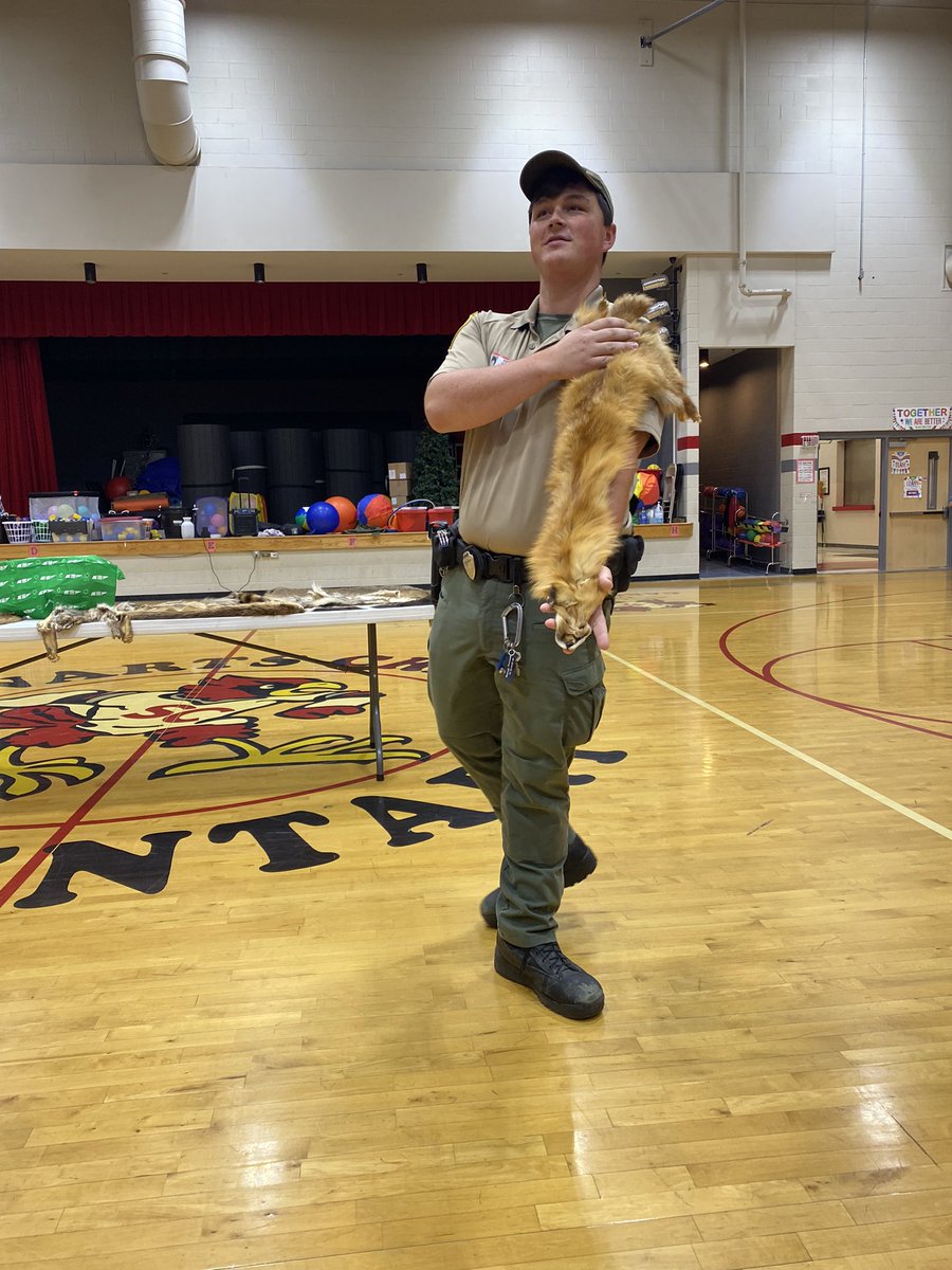 What an amazing experience it was for our Stewart’s Creek Summer Campers to have Ranger Dominic come share TN animals with us this morning! #bringingthewildtolife #creeklife #stallionstrong #RCSSummerCamp #STEMeducation <a href="/BESFreezeS/">Suszane Freeze</a> <a href="/SCECardinals/">SCECardinals</a> <a href="/STE_Stallions/">Stewartsboro Elementary</a>
