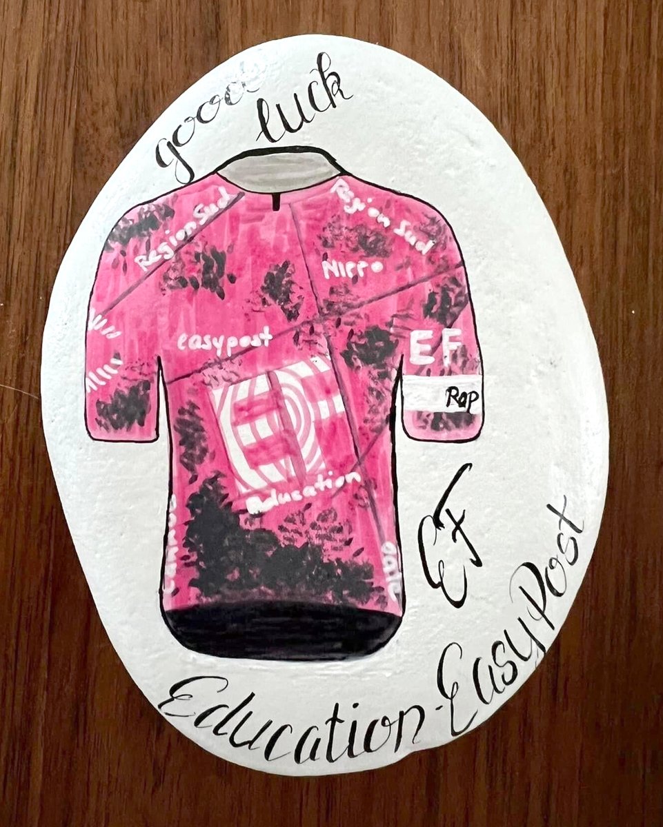 An EFer stumbled upon this painted rock showing an @EFprocycling jersey with the words 'good luck' painted on top as the team heads into the Tour de France!