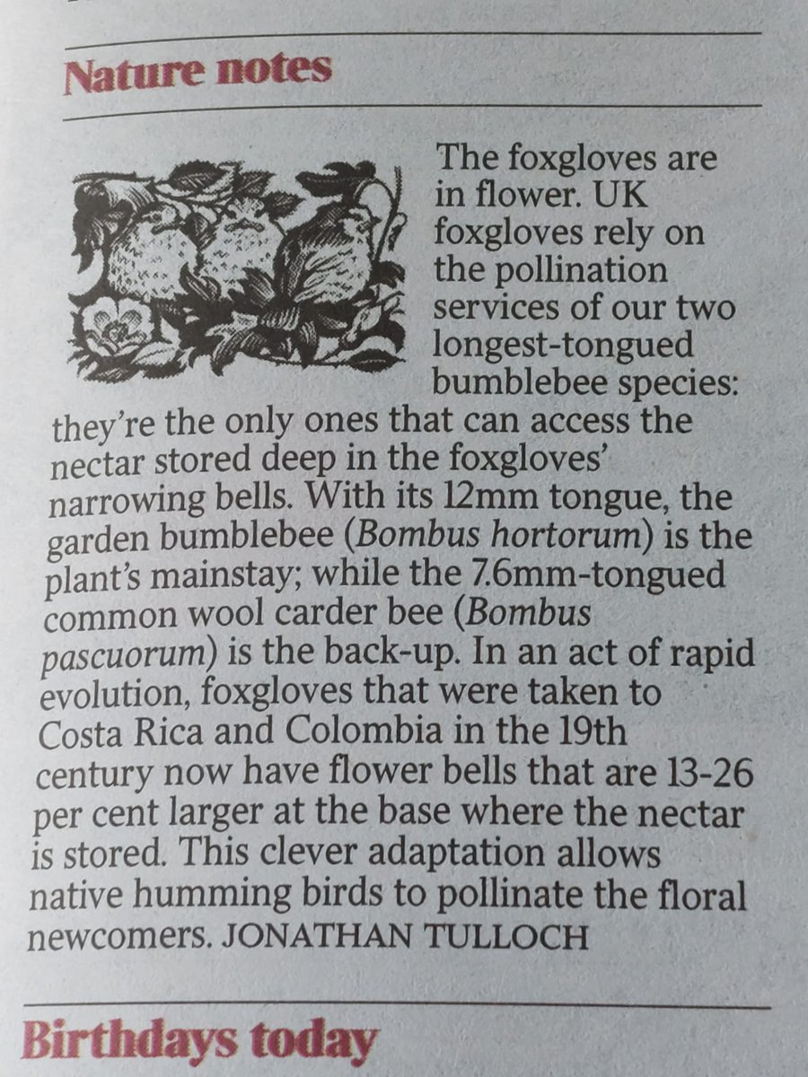 Chris Mackin tweet media