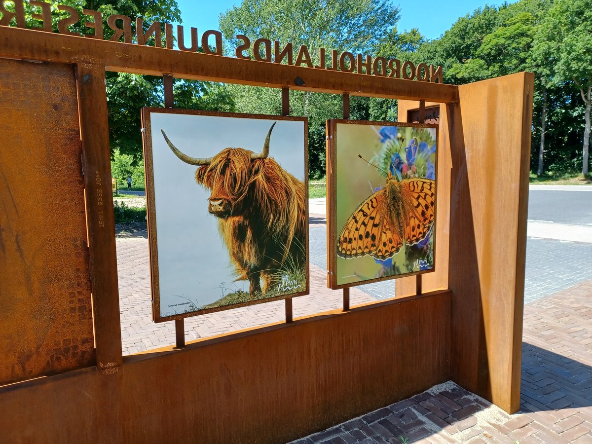 InfobordenNIV's tweet photo. Dit voorjaar zijn er, als onderdeel van het nieuwe voorplein van Bezoekerscentrum De Hoep van @PWNwaternatuur, vier nieuwe cortenstalen entrees geplaatst. Mooi project!  https://t.co/H81e3Nlbkd https://t.co/obvmsVRxuH