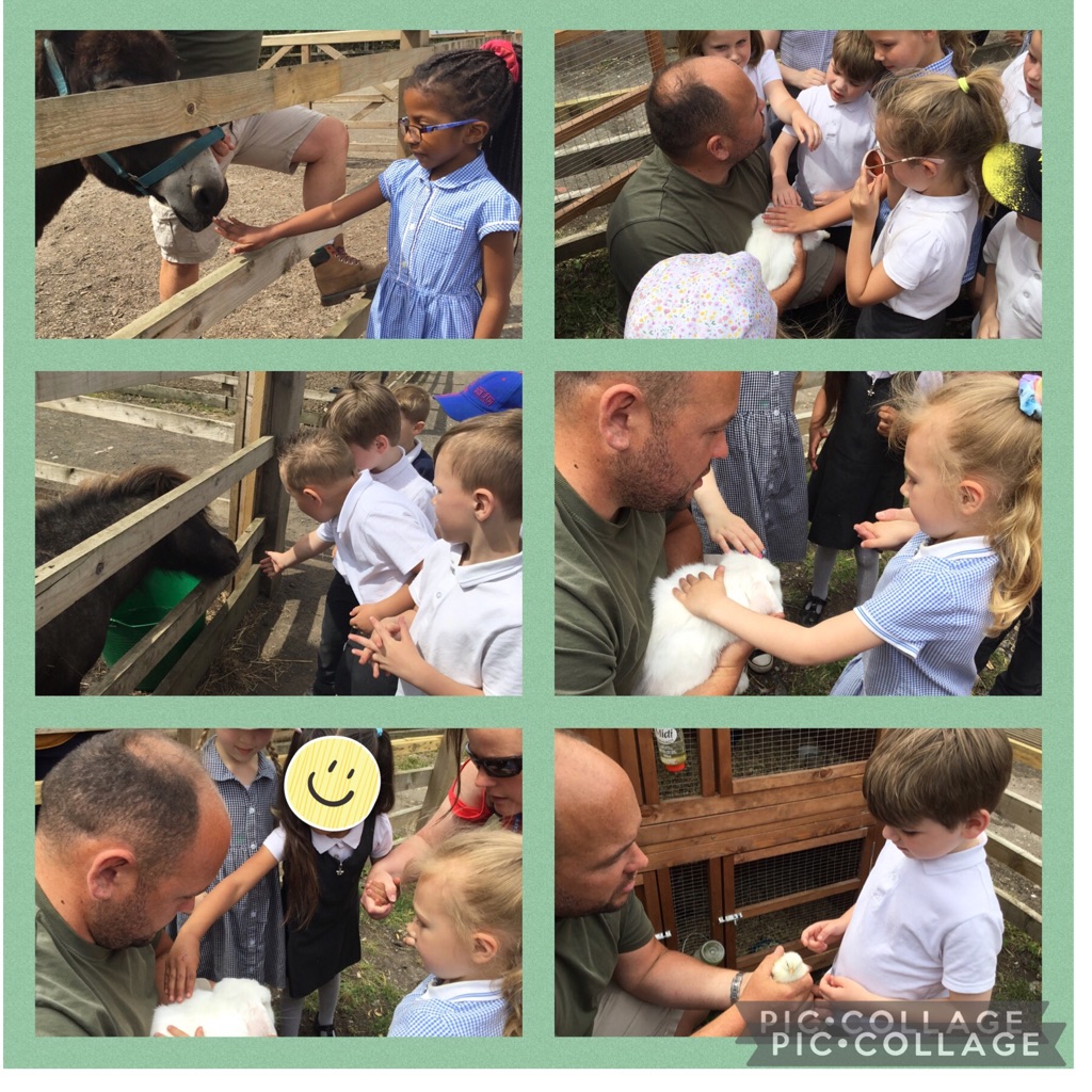 IPMATTowngate's tweet photo. Here are more photos of Year 1’s trip to The Watering Hole. #Year1TPA #outdoorlearningTPA https://t.co/d4soPSYjPV