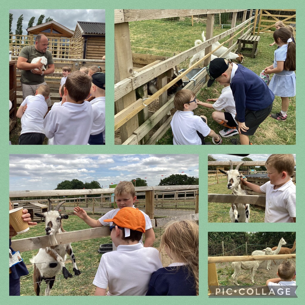 IPMATTowngate's tweet photo. Here are more photos of Year 1’s trip to The Watering Hole. #Year1TPA #outdoorlearningTPA https://t.co/d4soPSYjPV