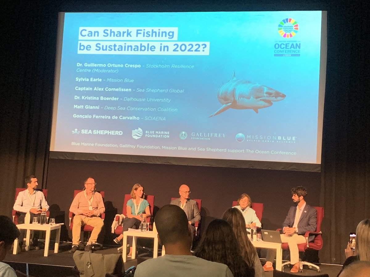 A side event panel at #UNOceanConference:
‘Can Shark Fishing be Sustainable in 2022?’
To cut a very long, boring and annoying story short, no.