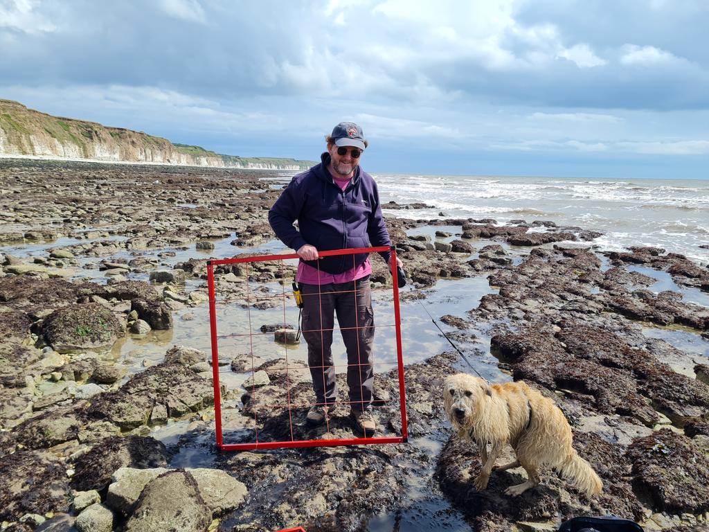 What a difference a day makes! Back in my more natural habitat, where the only tie is a cable tie! My job is nothing is not varied! #MarineBiology #IntertidalEcology #Flamborough #HPMA #ResearchPup 😁🦀🐕🌊