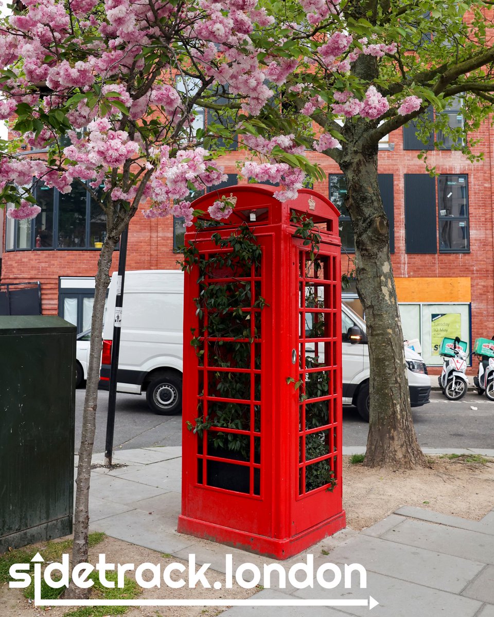 🚲#PrettyLondon: Phonebox in Archway

#prettylondon #pretty #wanderlust #london #photobooth #photobooths #londonphotobooth #photo #photography #phonebox #londonphonebox #phonebooth #lovelondon #visitlondon #blossom #cherryblossom #londonblossom #flowers #floral