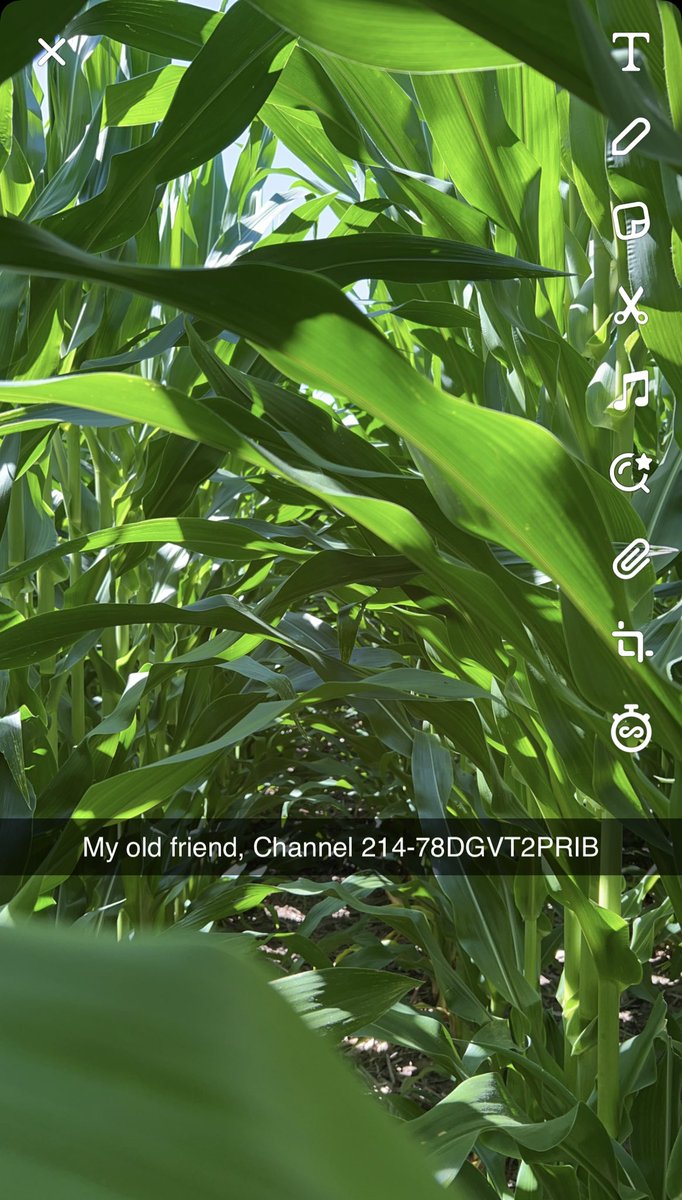 Dan Lynch tweet media