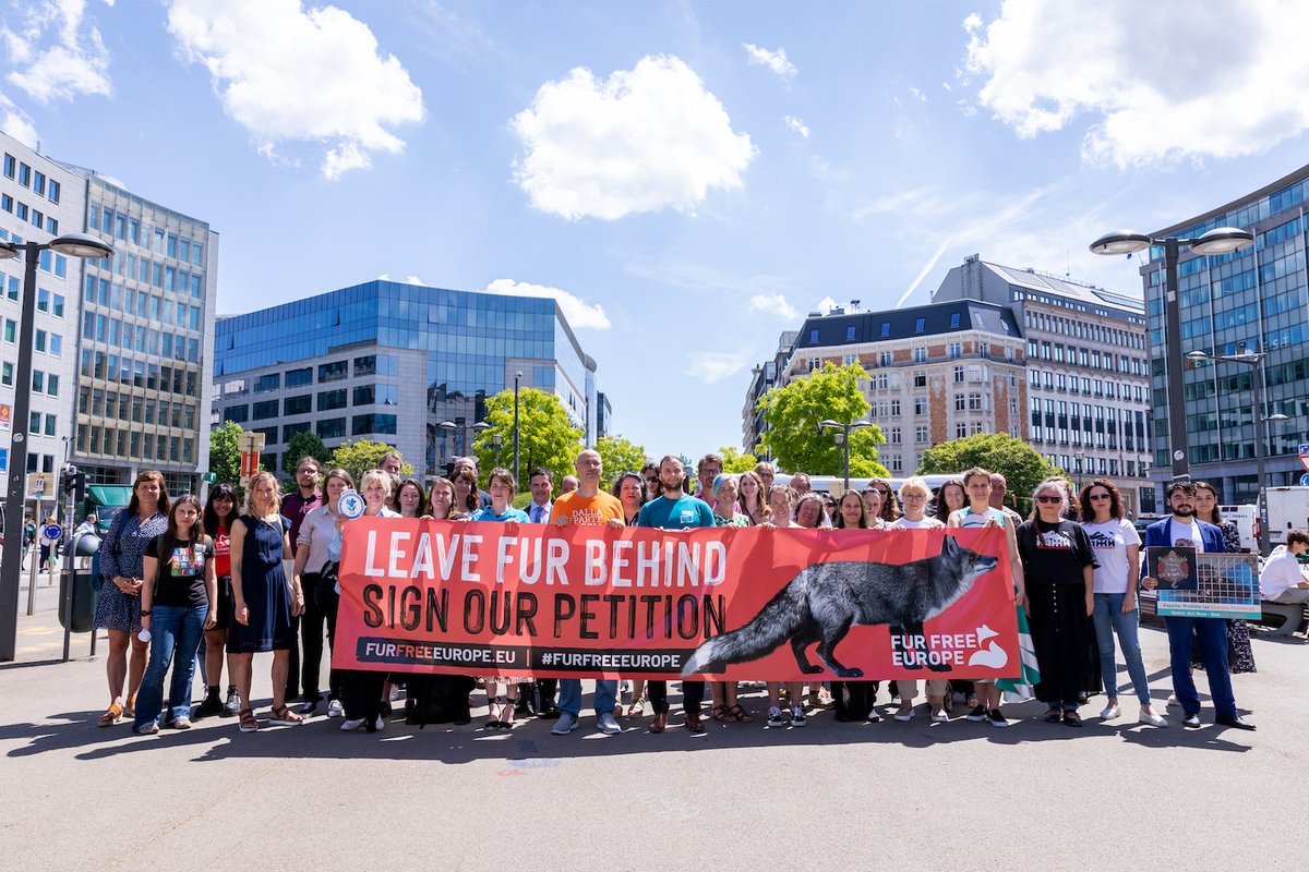 Eurogroup For Animals tweet media