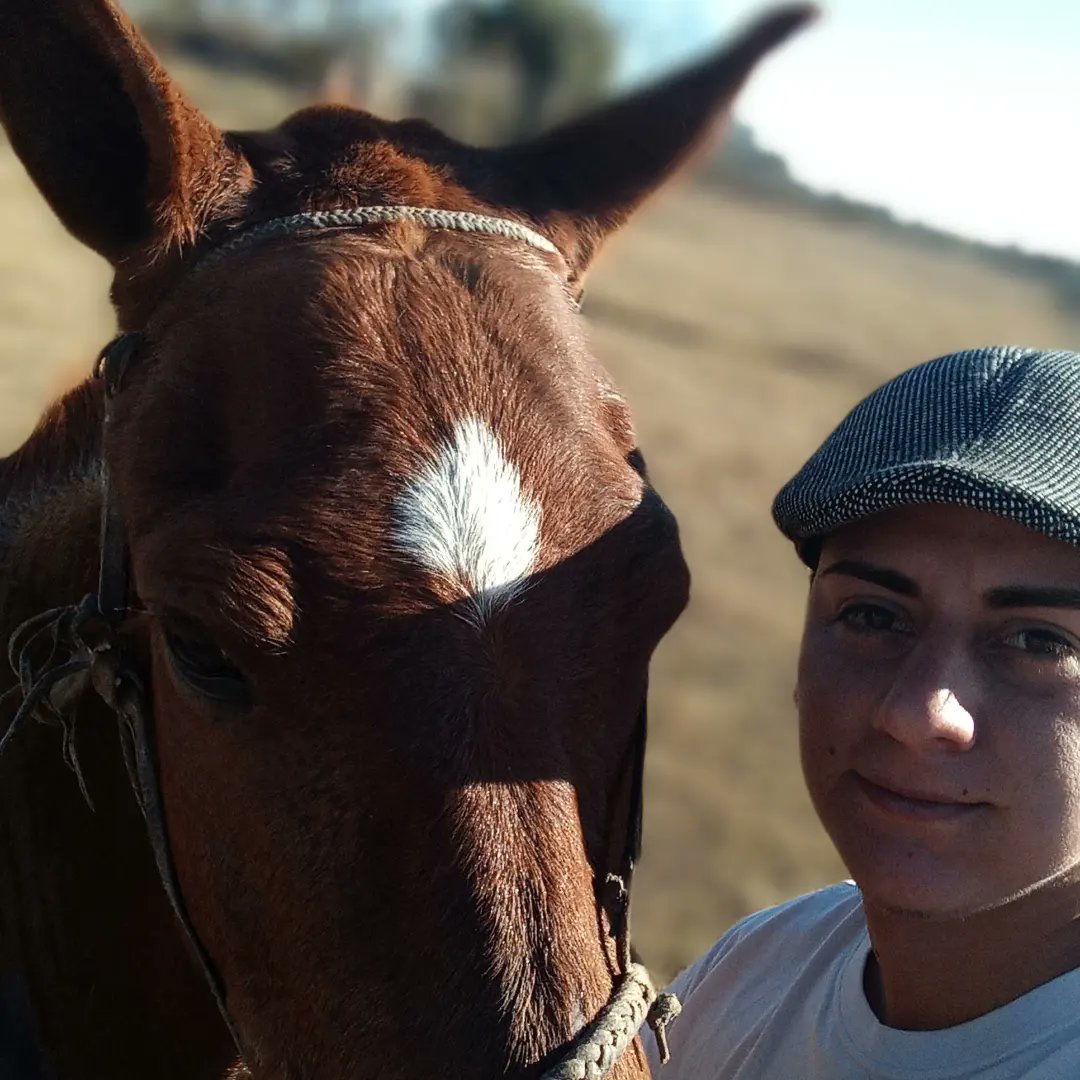 Mi dia🐴