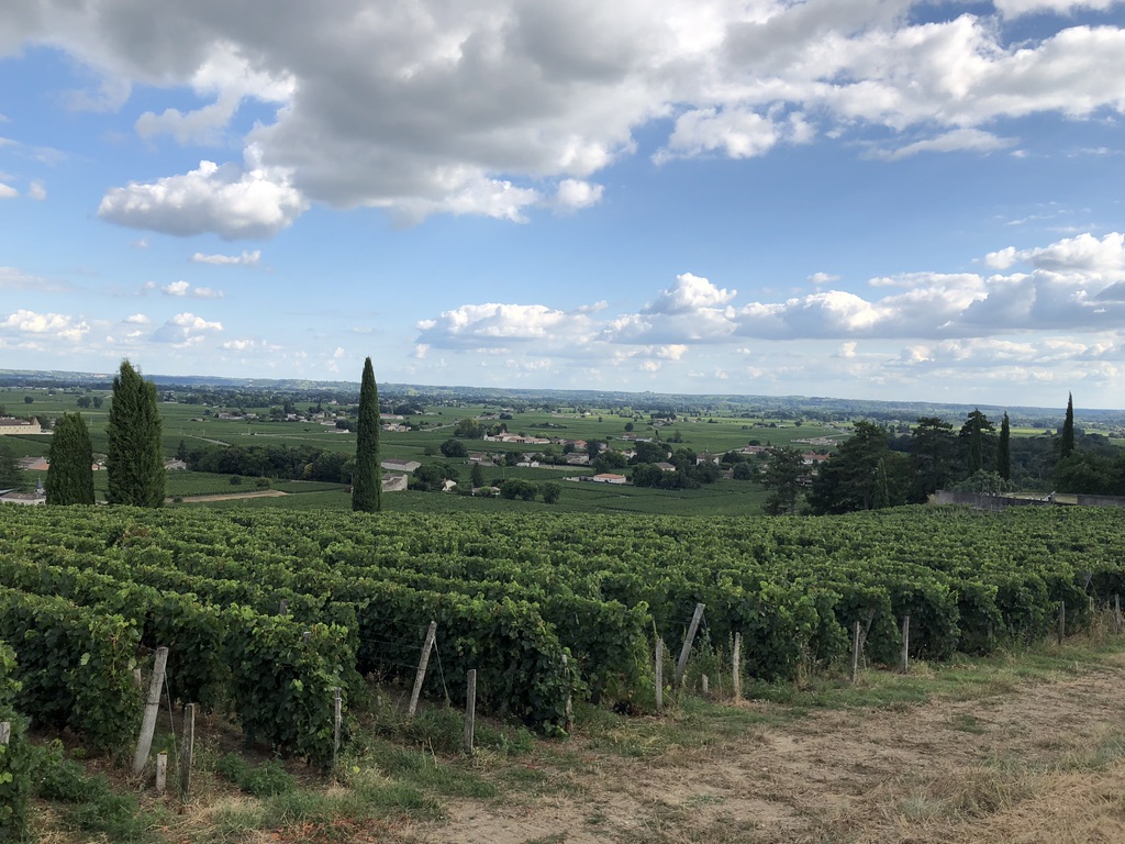 2022Rowing's tweet photo. Un beau petit tour à 10 km de Libourne ? Saint-Emilion !
A beautiful little tour 10 km away from Libourne? Saint-Emilion!
https://t.co/VtAtiYpzfb
#magaviron #worldrowing #FFAviron #filippi #mastersrowing #wrmr2022 #empacher #falconracing #row360 #row2k #evupre #newwave https://t.co/HlMfa1WF1f