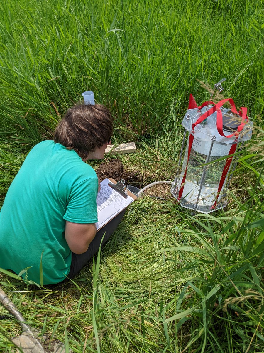 TylerAGroh's tweet photo. We ran our first rounds of infiltration experiments on the #biochar plots the other week. The researchers in the #GrohLab are back at it again today. The summer of infiltration has begun! @Brian_P_Morris @PSUecosystems @agsciences https://t.co/0pL2yrzle5