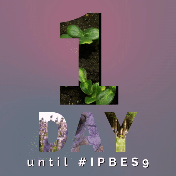 IPBES's tweet photo. 🌻#IPBES9 starts TOMORROW🌻

The first in-person @IPBES Plenary Session since #IPBES7 in 2019 is planned to be held in Bonn, Germany 🇩🇪 from 3 to 9 July 2022.

Explore the provisional agenda and documents here👉 https://t.co/TepIRncDNJ https://t.co/icGk9Eq776