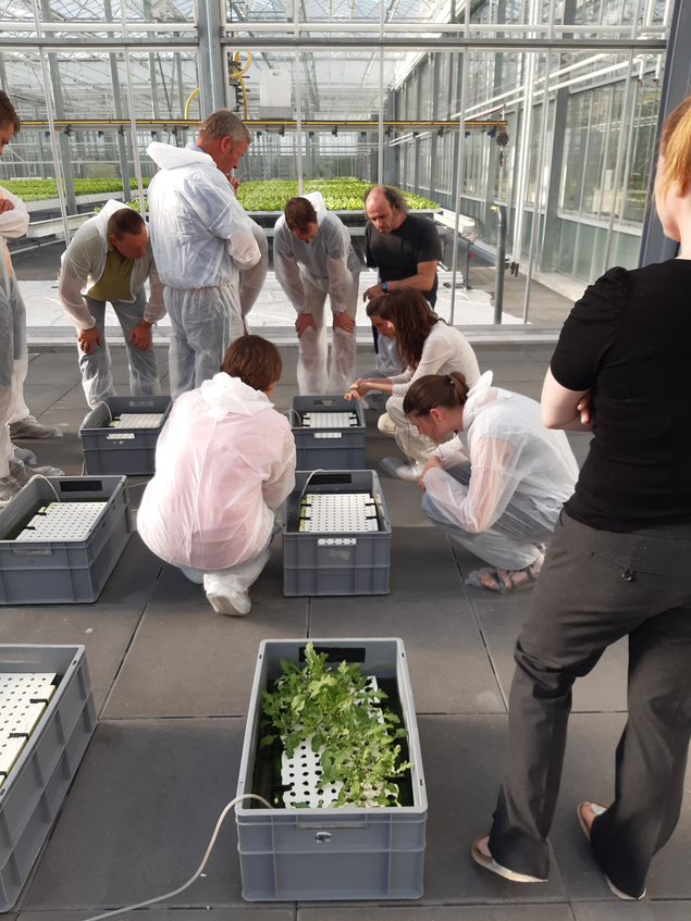 InAgrotopia tweet media