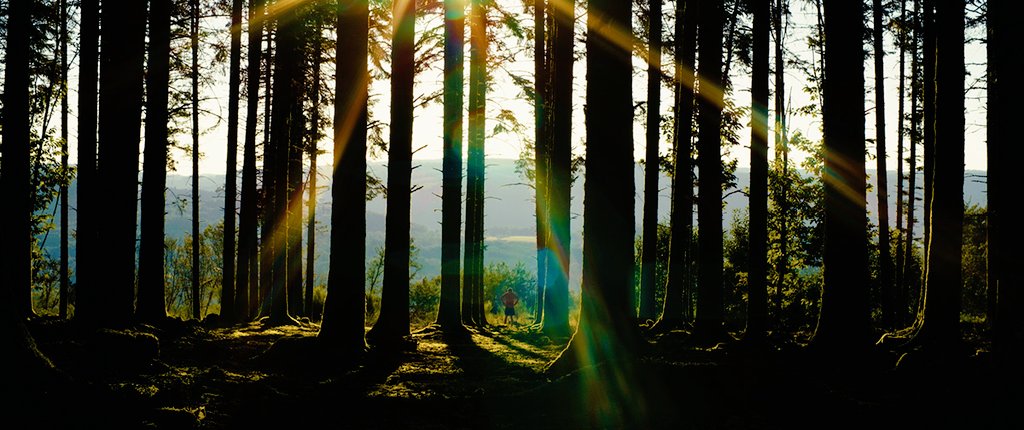 🎥✨🌲 Notre belle filière #Douglas vue par le réalisateur Pierre Magnol dans un film de 3min, à découvrir ici 👉 vimeo.com/722457705
En forêt, dans les scieries ou en architecture... : le #Douglas a tant à raconter ! ♥️
#LaForêtEnsemble #bois #film
