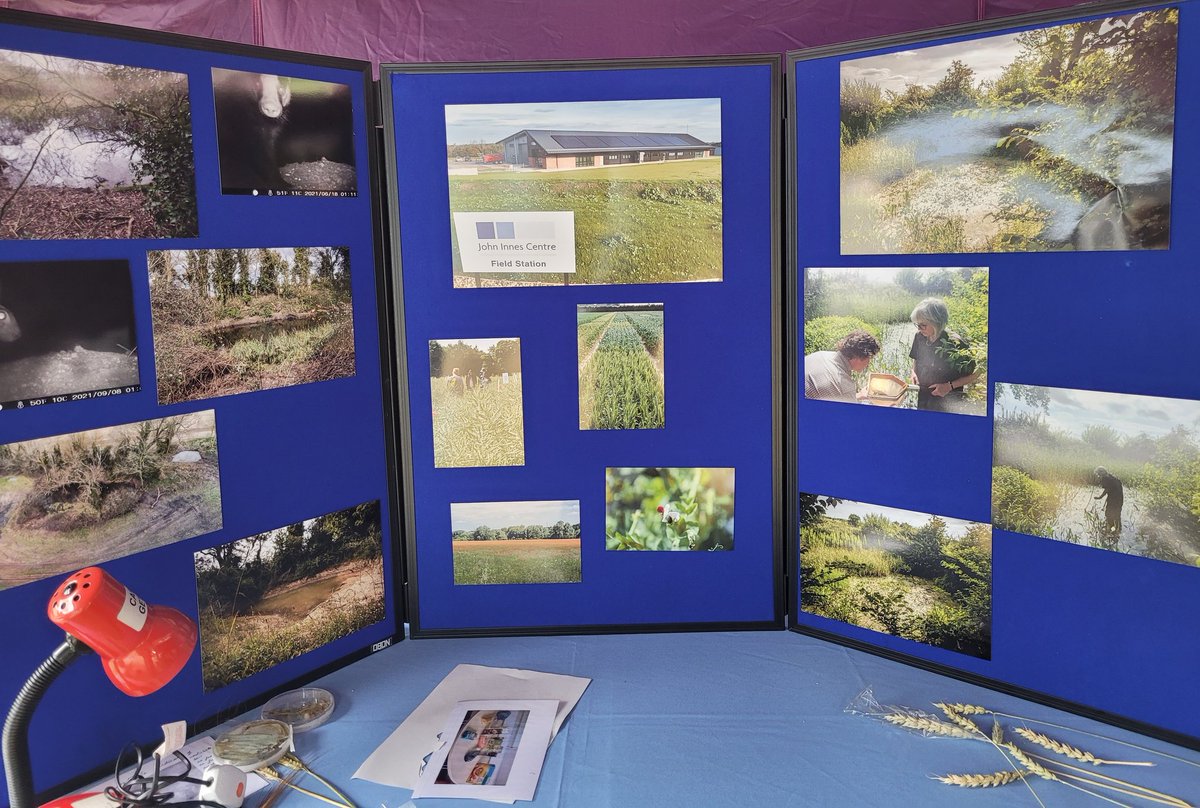 John Innes Centre tweet media