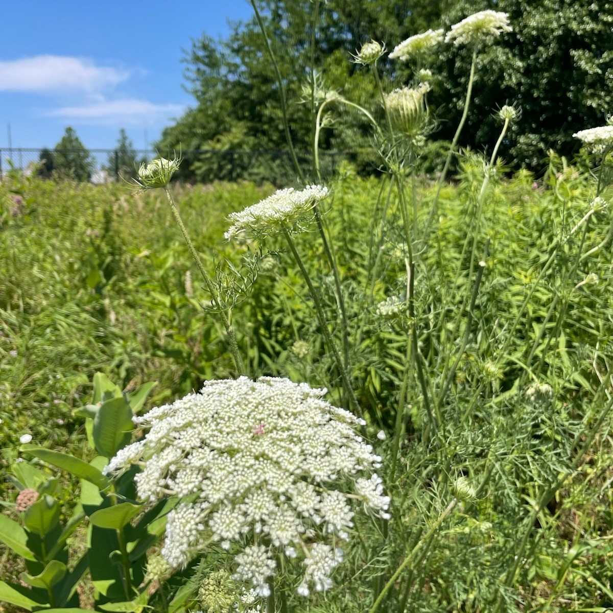 RiverfrontNorth's tweet photo. It's a beautiful day in the neighborhood! Great 📸  along the K&amp;T Trail from our friends and neighbors at @EnviroKure 
What beautiful outdoor scenes have you come across today?

#delawareriver #phillytrails https://t.co/CmBq6RSdcL