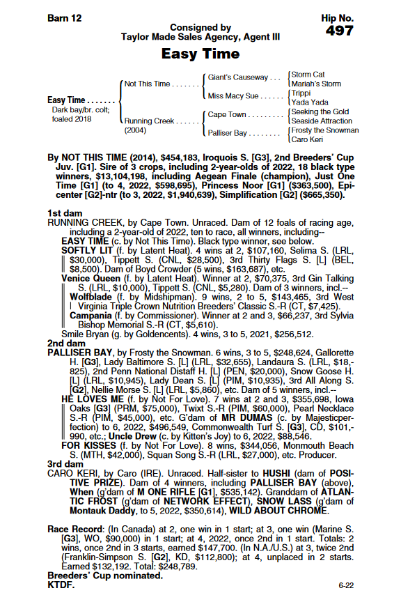 breezeeasyllc's tweet photo. To be offered at FT Horses of All Age Sale on July 11 as hip 497, Easy Time is a 4yo GSW sprinter/miler, who is just approaching peak form (since the catalog, an excellent 2nd in latest start). High class form on turf &amp; all-weather,  &amp; as son of Not This Time has sire potential. https://t.co/u2bsropdHN