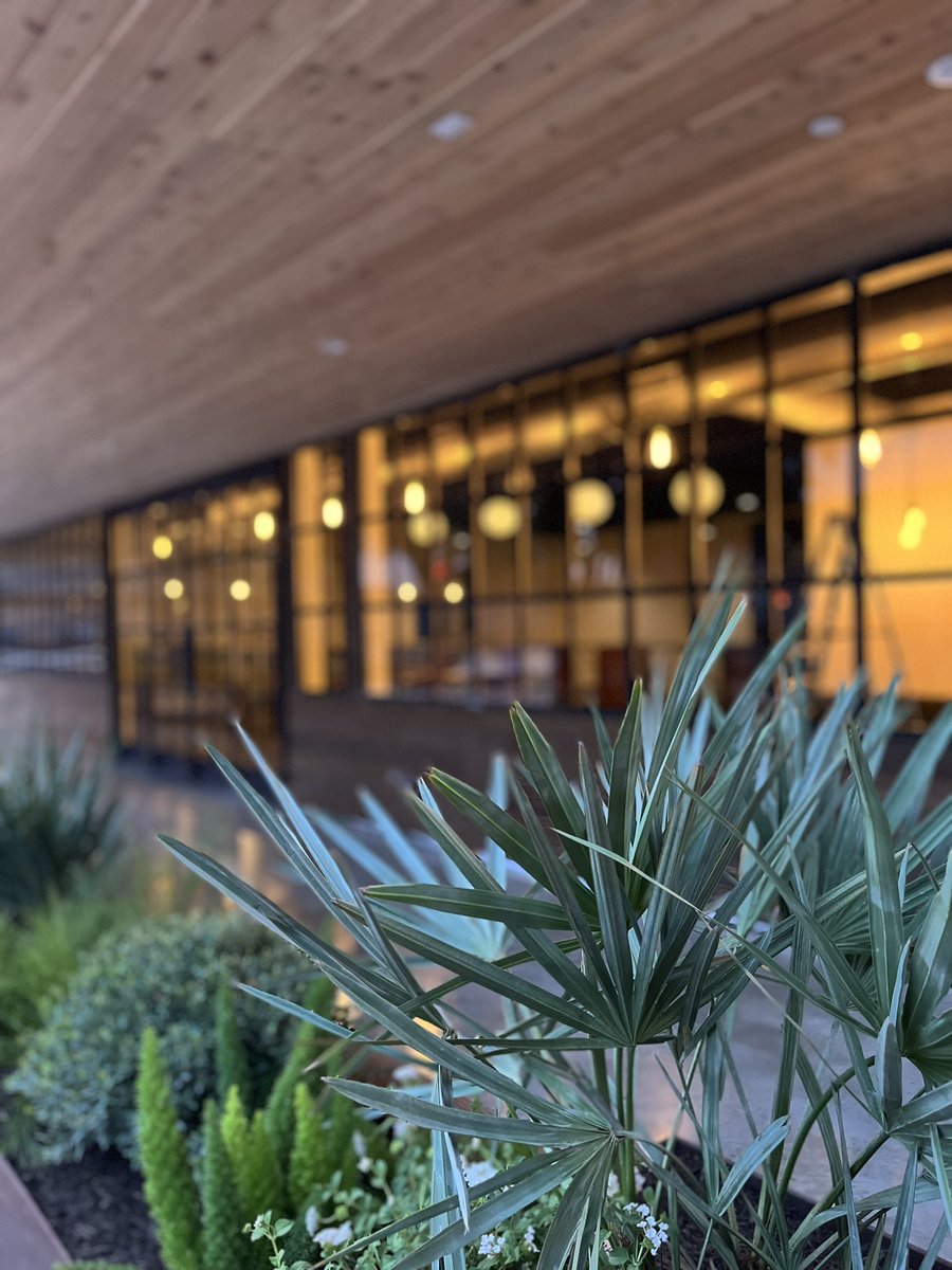 HiSignBrewing's tweet photo. 🚨 Grand Opening announcement coming this week. Stay tuned! 🚨 #HiSignBrewing #grandopening #brewery #taproom @TXCraftBrewers https://t.co/uyat8603ya