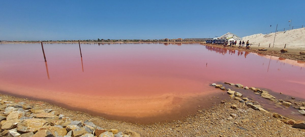 juliannemegaw's tweet photo. Torrevieja salterns, Spain #halophiles ❤️ https://t.co/dZykcc6aYc