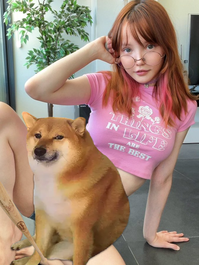 Big Bonk Boss tweet media