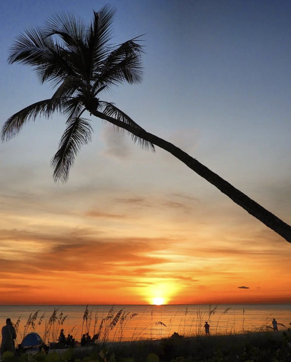 LemonTreeInn's tweet image. A magical coastal escape awaits you. 📸: @blueoceanflorida