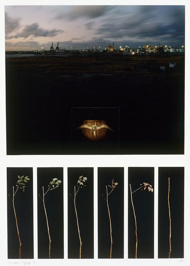 mclayfield's tweet photo. Good morning. Here is Debra Phillips' 1982 photographic work 'Nineteen eighty-two'. Phillips' mostly photographic work explores systems of knowledge and their intersection with daily life, generating questions around history-making, economics, geography, and politics. https://t.co/Se5LrbeH9g