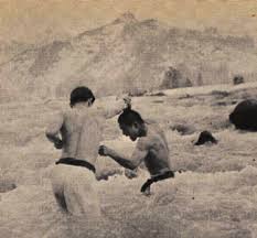 0xAlaric's tweet photo. You should be training in at least one martial art. Sun &amp; steel is not enough; you must fight. You should be comfortable with pain and bloodshed, on both ends of the equation. Being physically strong is one thing; being a capable fighter is another. https://t.co/fkHfPPI5DB