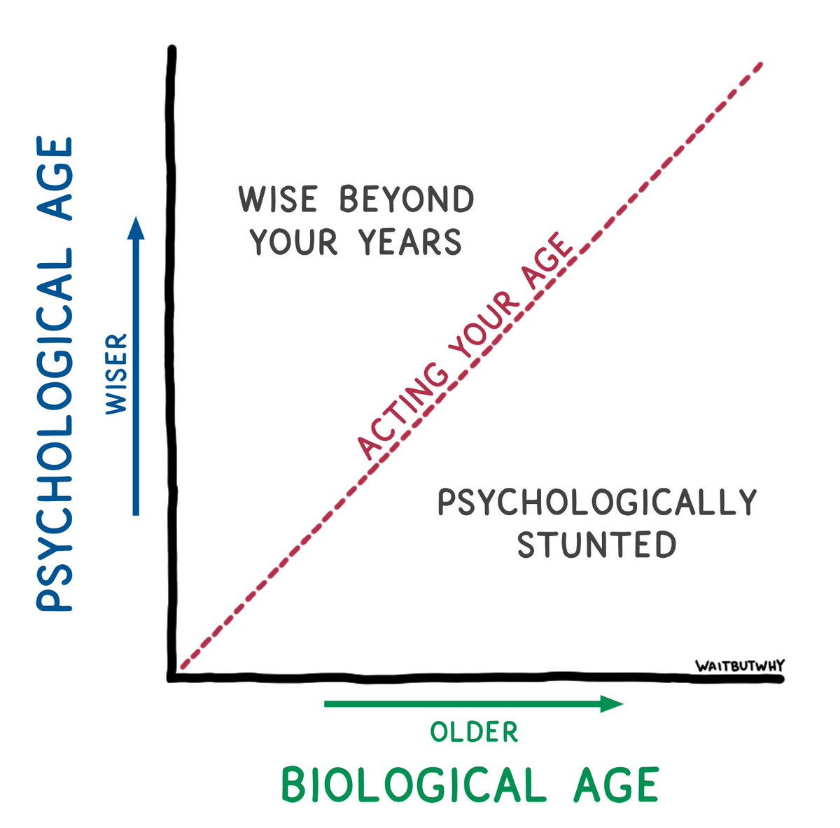 Tim Urban tweet media