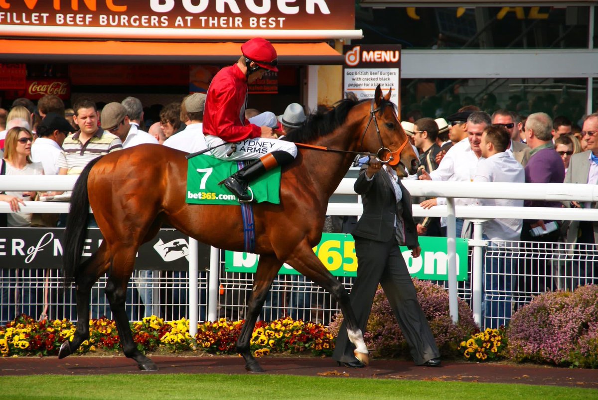 rhannonracing's tweet photo. Paco Boy 😍 The good old days! With thanks to Toby Connors for the memory! 📸 He was a proper horse alright! #pacoboy #throwback #properracehorse #RH https://t.co/gLfE0ffs2S