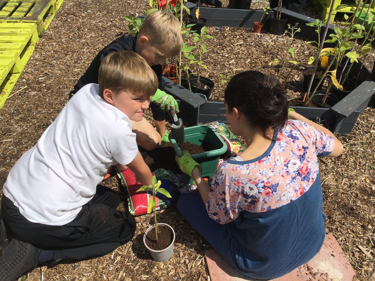 beyoutoblossom's tweet photo. Another Family Learning Garden Session πͺ΄π¨βπ¨ for Year 6 @YsgolEstyn. Thanks so much again to all of the parent/family members who supported. #wellbeingproject #gardenformindfulness #pupilvoice https://t.co/gMe5GJ2sk4
