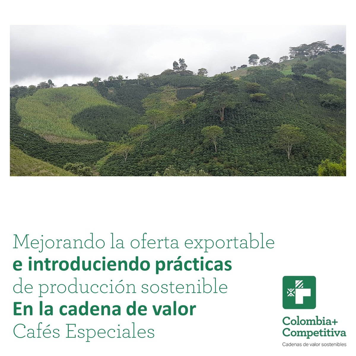 Colombia Más Competitiva tweet media